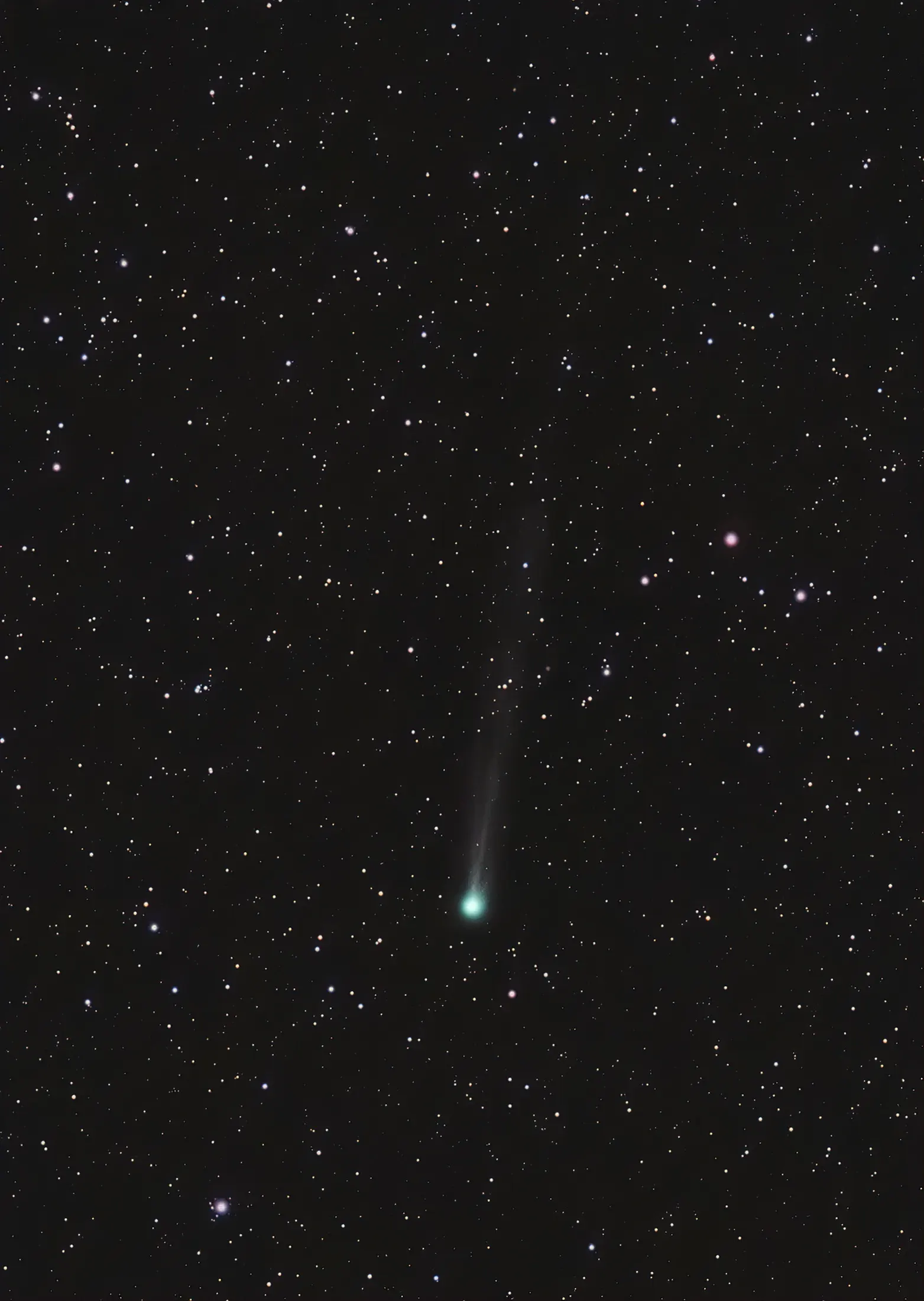 Comet P1 西村彗星